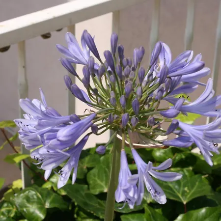 With A Parking Space - 6640 Makarska