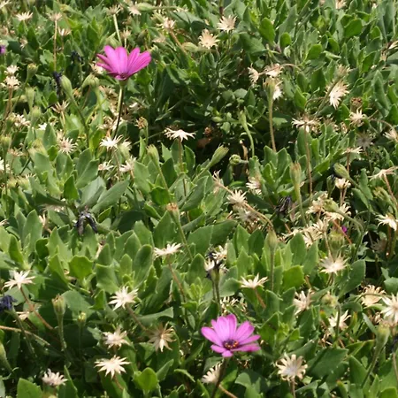 With A Parking Space - 6640 Appartement *