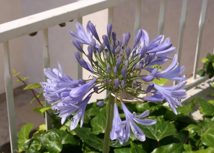 With A Parking Space - 6640 Makarska