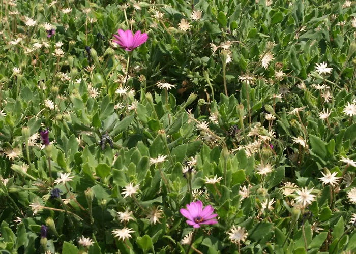 With A Parking Space - 6640 Appartement *